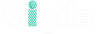 Vigile.ai